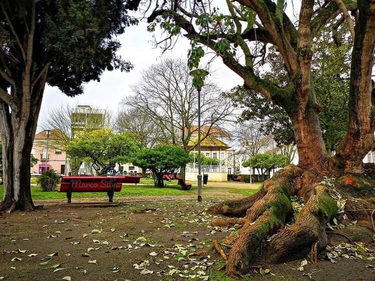 Jardim dos Franceses no Barreiro