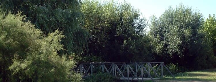 Jardim Vale Salgueiro no Montijo