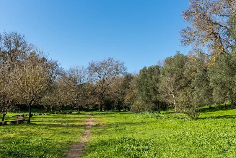 Parque José Gomes Ferreira em Lisboa