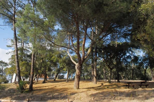 Parque Municipal do Cabeço de Montachique em Loures