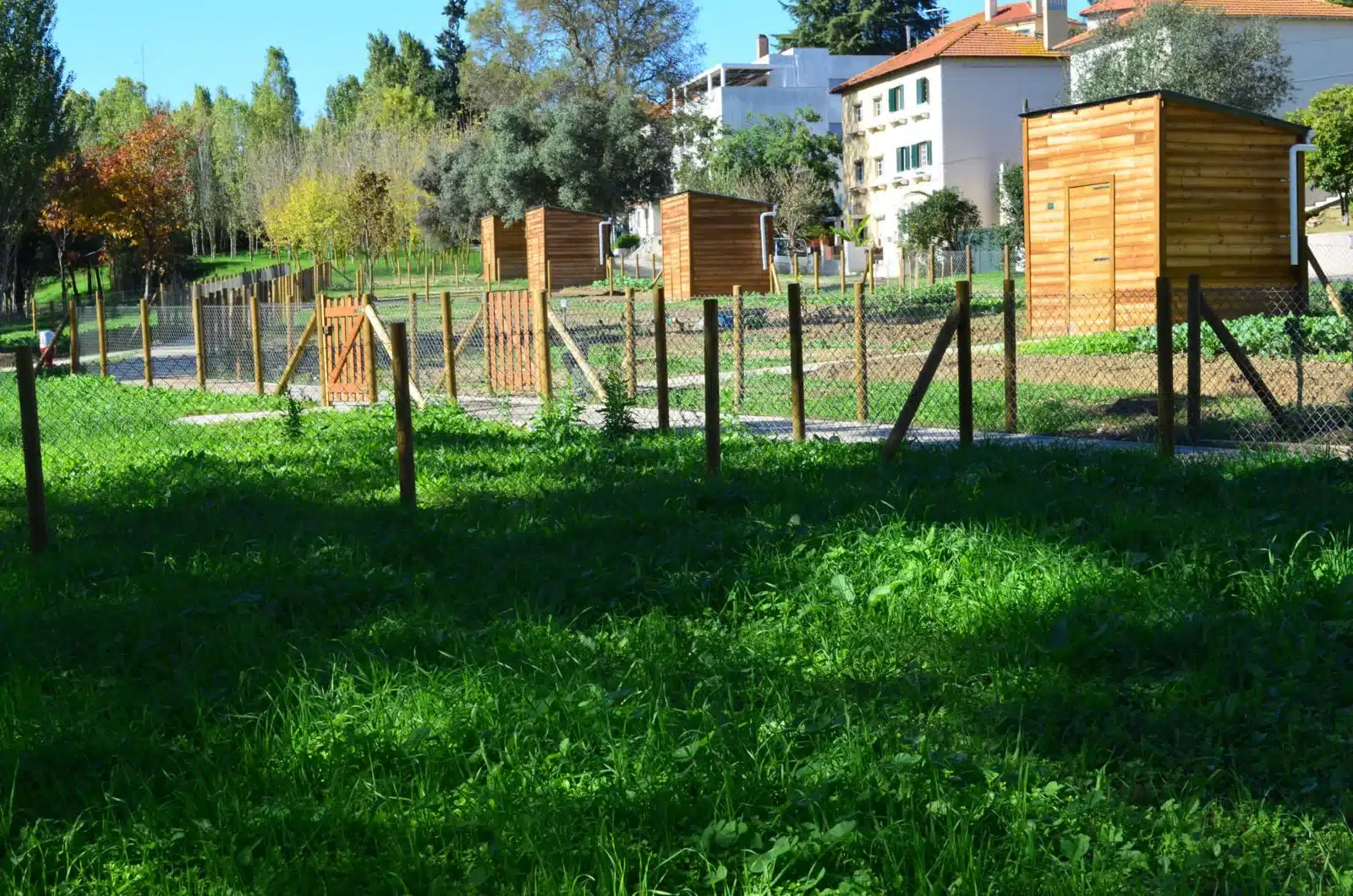Parque Urbano dos Olivais em Lisboa